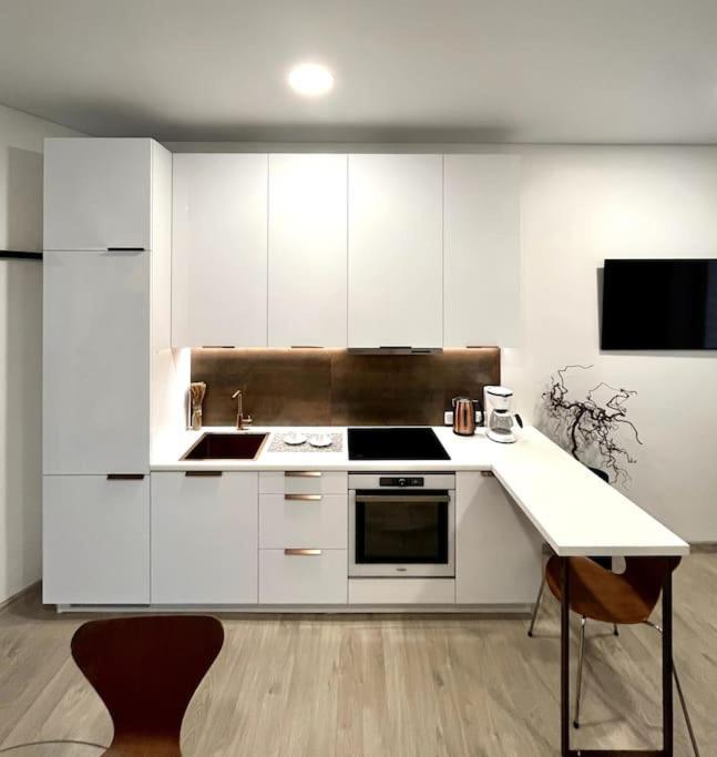 Kaunas Old Town Apartment Zewnętrze zdjęcie